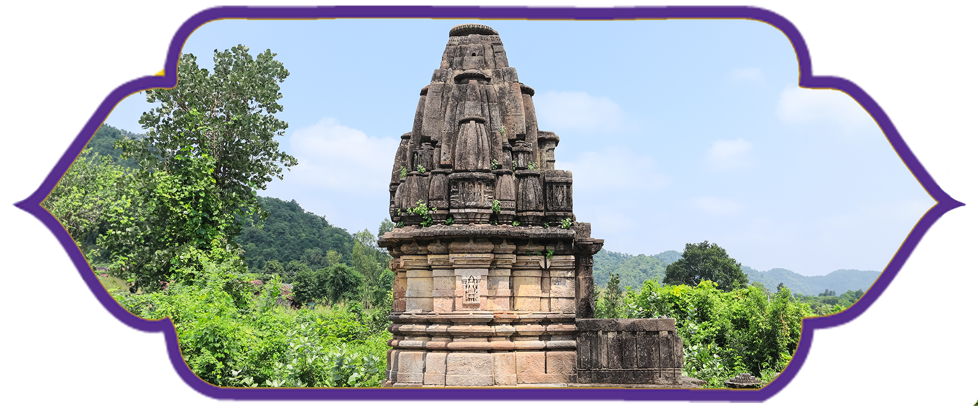 picture of Polo Forest